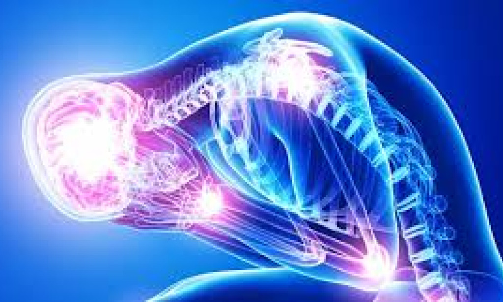 Mental Health: Exploring Pressure and Tracking down Equilibrium