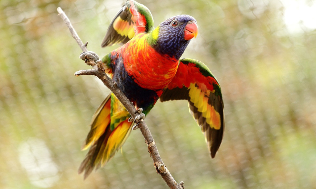 Exploring the Innovative Scene: A Complete Manual for Incfile