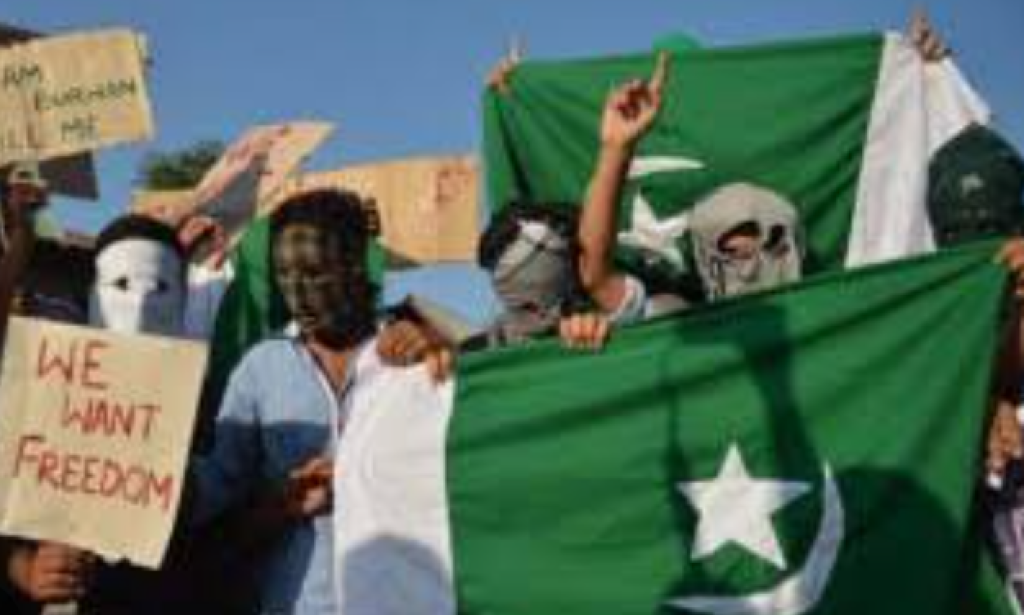 *Masked attempt to destroy the peace of Azad Kashmir under the guise of protest*