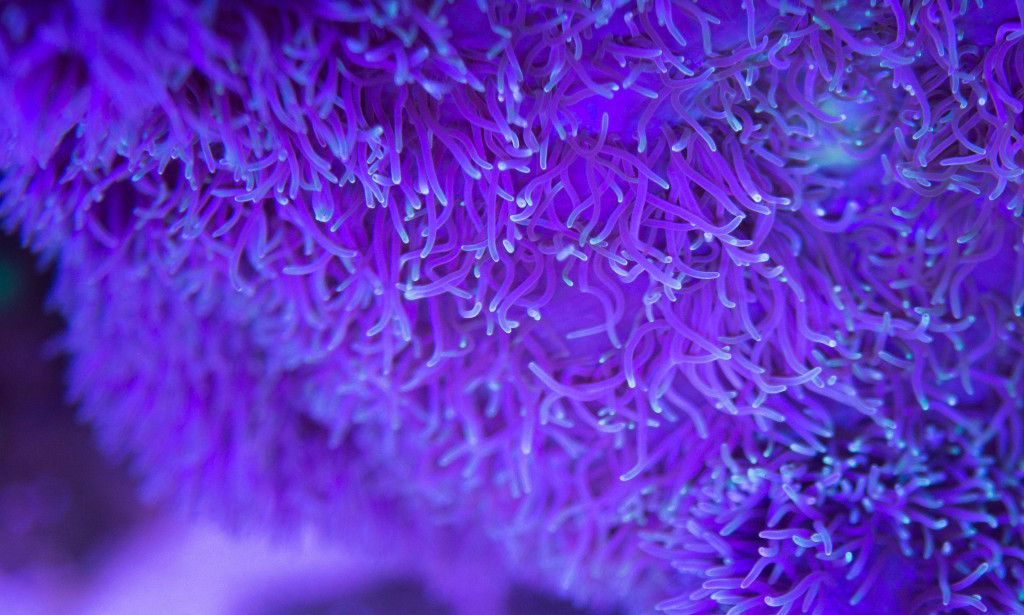 The expansion of microplastics in marine conditions is a squeezing natural issue that has gathered worldwide consideration lately.