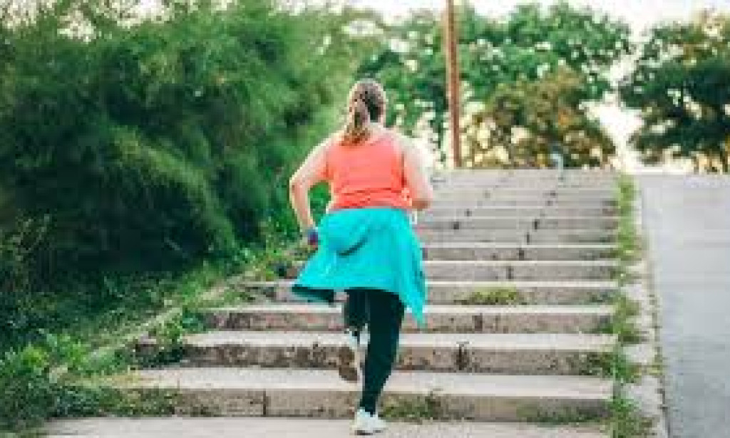 Instructions to Keep a Brilliant Home: Tips for Effectiveness and Life Span