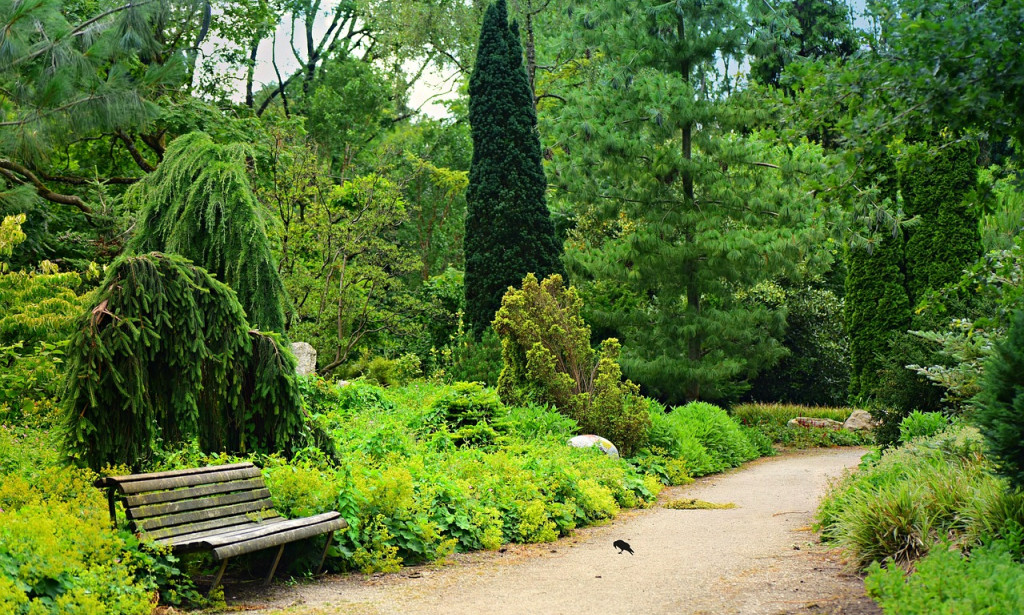 Revealing the Intricacies of the Human Safe Structure: An Expansive Exploration