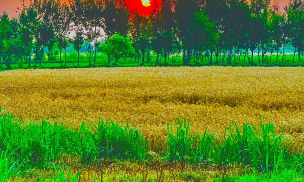 Unlocking the Secrets to Lasting Health and Well-being: A Deep Dive into Physical Fitness, Mental Wellness, Nutrition, and Lifestyle Choices