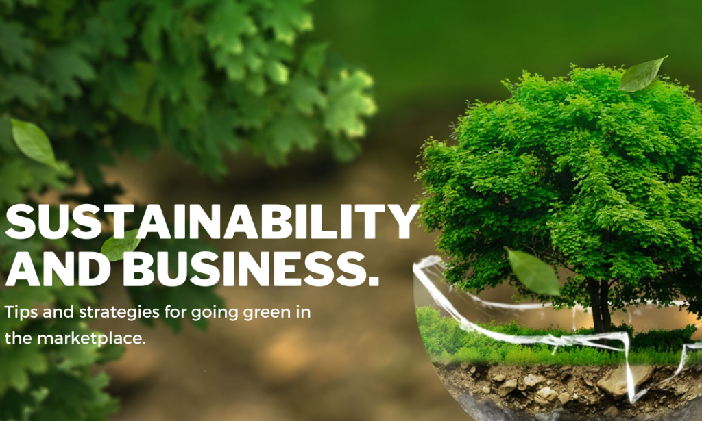 "The Importance of Sustainability in Driving eCommerce Growth"