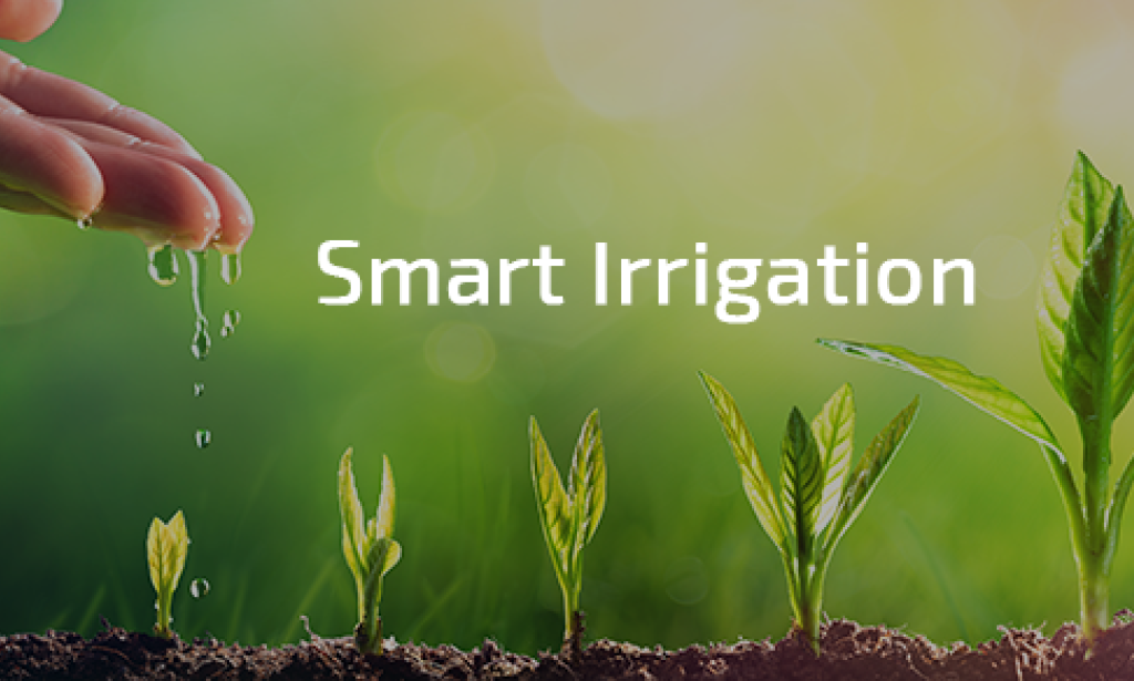 "Watering Smart: How Intelligent Irrigation Systems Transform Landscapes"