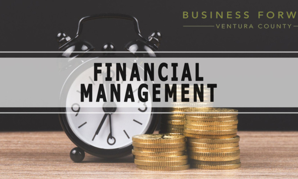 "Financial Fundamentals for Entrepreneurs: Making Your Money Work"