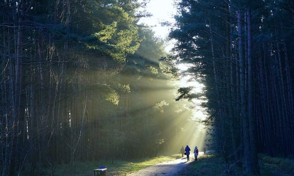 The Realist Movement: Reflecting Society in Literature The Realist Movement: Reflecting Society in Literature