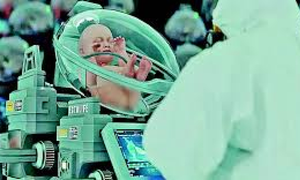 ## The Ectolife Discussion: An Exciting modern lifestyle or Selective breeding Bad dream?