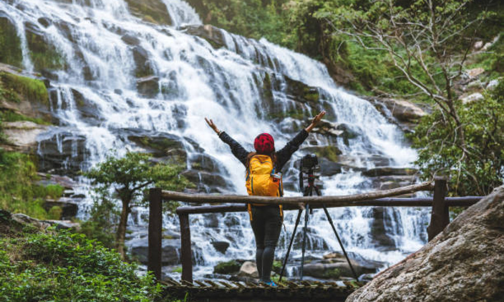 Exploring the Profundities: The Marvellous Trade of Prosperity, Culinary Joys, and Normal Impacts in Fish Use