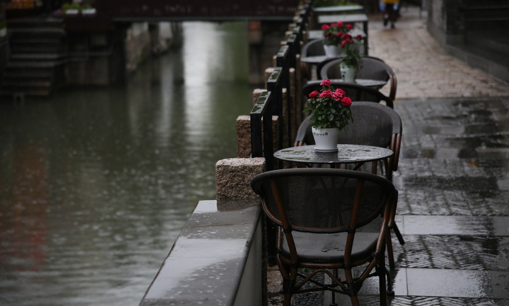 The Work Day: Exploring 50 Days in the Existence of an Expert