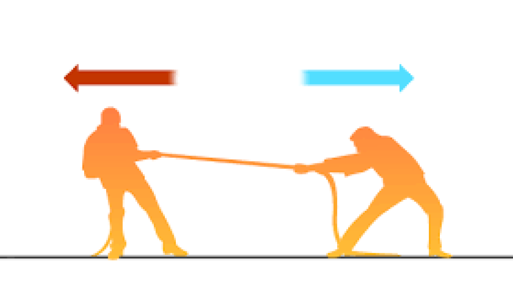 "The Art of Strategic Growth: Lessons from Successful Enterprises"