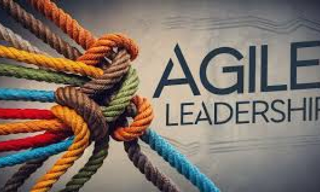 From Rigid to Agile: Transforming Leadership Styles to Foster Adaptability