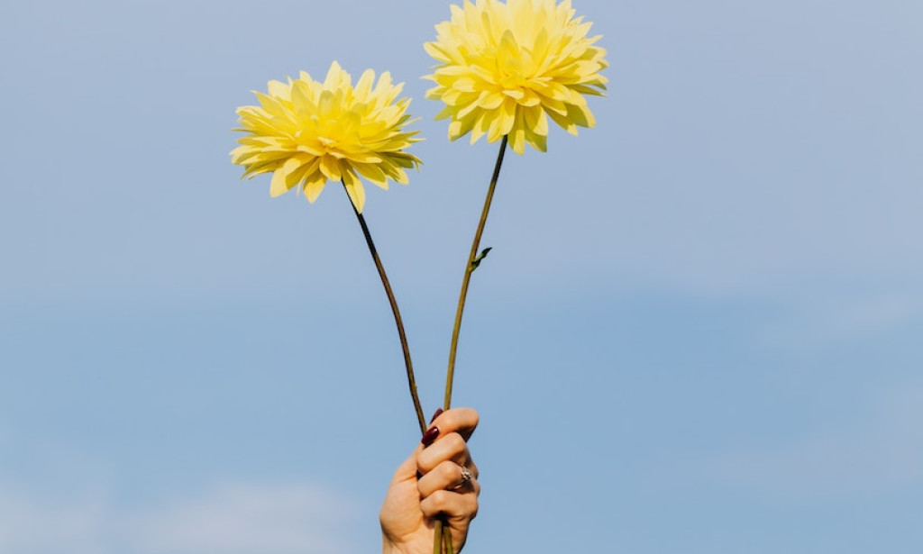 "Finding Love and Building Family: The Journey of Dating and Parenting"