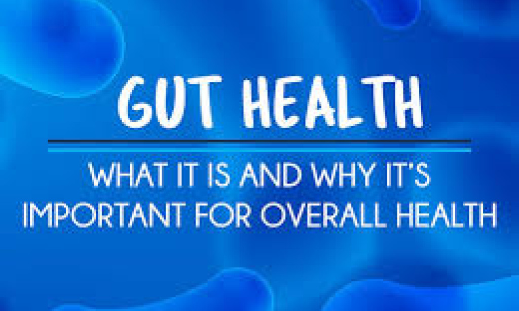 "Gut Health Explained: Why Your Digestive System Matters Most"