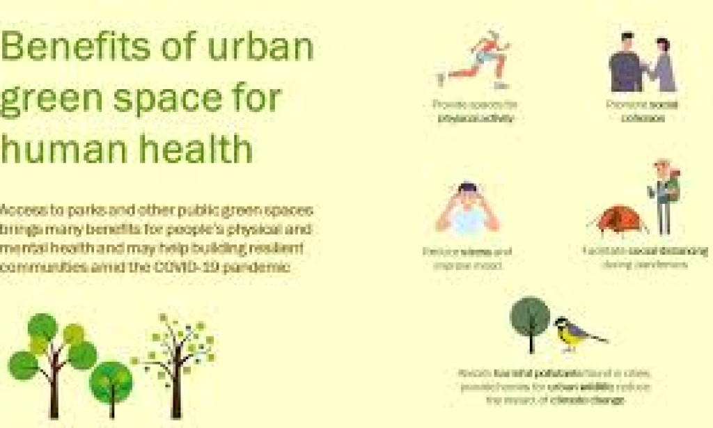 "The Impact of Urban Living on Health and How to Mitigate Its Effects"