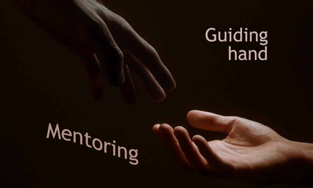 The Guiding Hand: How Mentorship Shapes Transformational Leaders and Teams