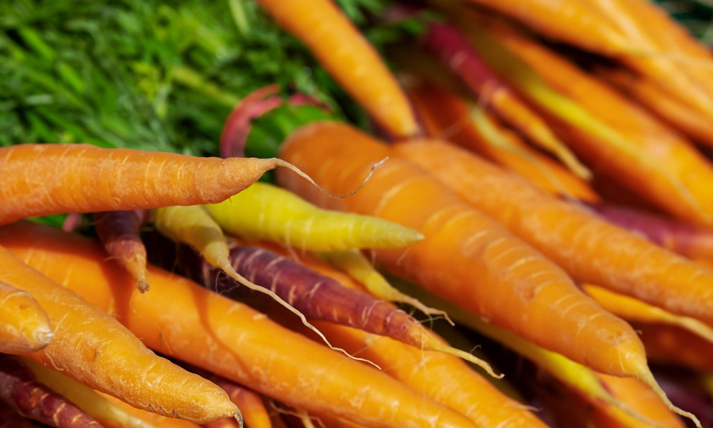 10 Nutrient-Rich Winter Foods to Boost Your Health and Warm Your Soul