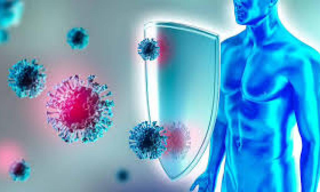 Strengthen Your Immune System Naturally Today defenses against illness.