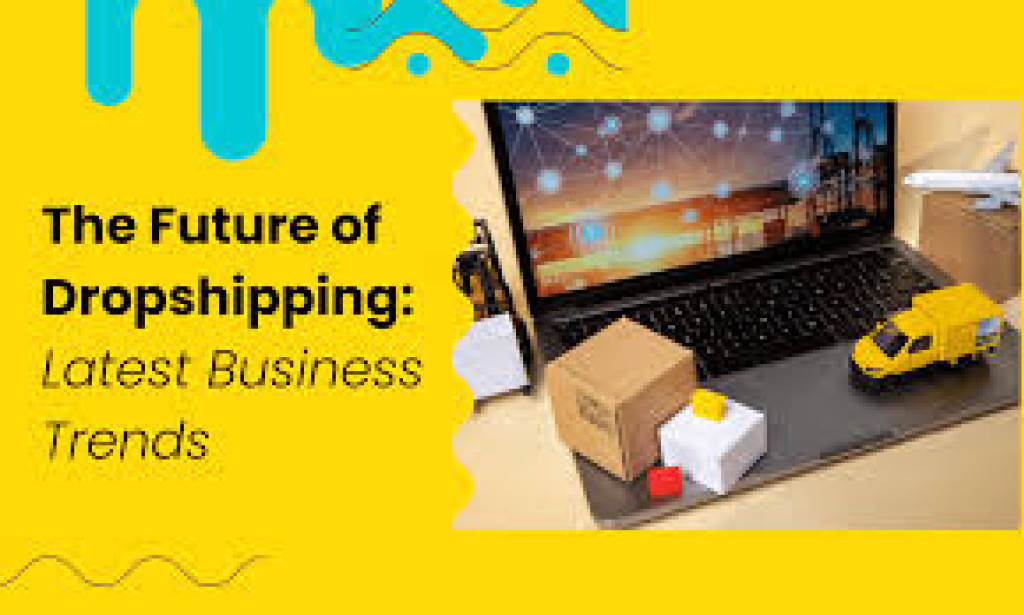 Dropshipping 2.0: Innovations and Risks in a Competitive Market