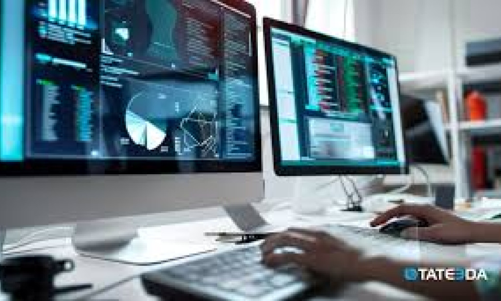 The Essentials of Software and Programming: Concepts, Practices, and Trends