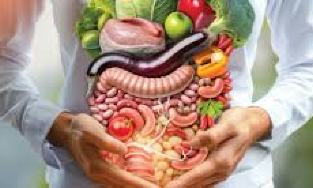 "The Gut-Health Connection: How Your Digestive System Impacts Your Well-Being"
