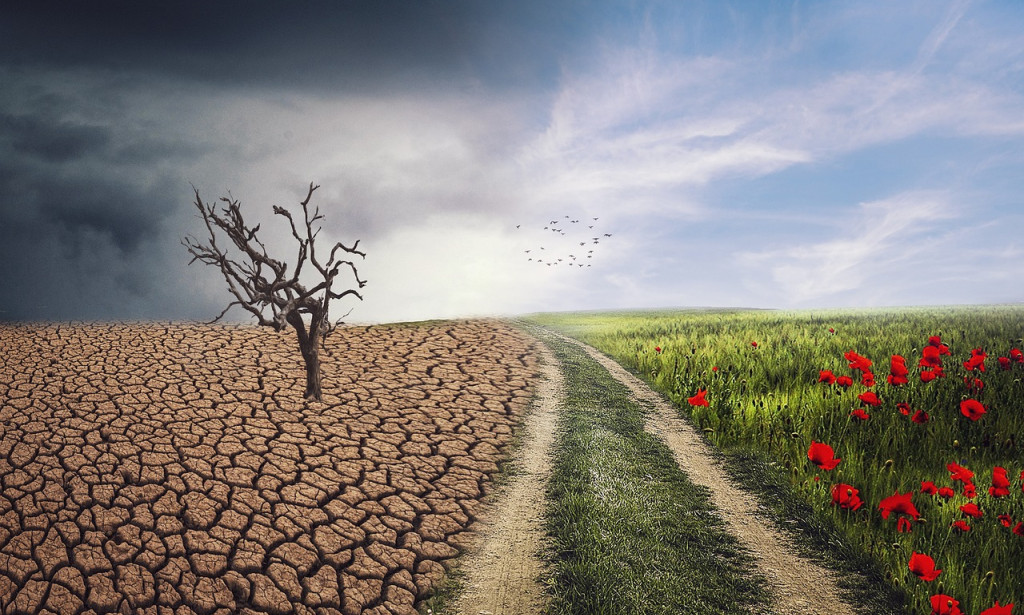 ******-Biodiversity: -The-Foundation of-Life-on-Earth*******