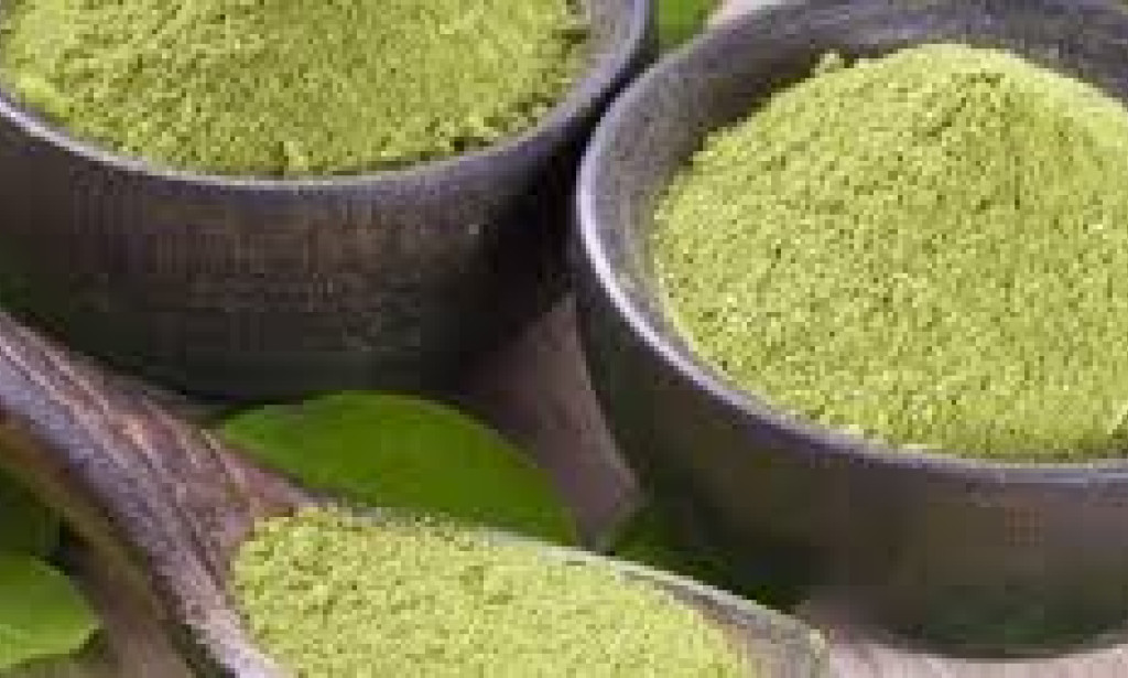 The Science Behind Moringa: Why It’s Called the ‘Drumstick Tree of Life