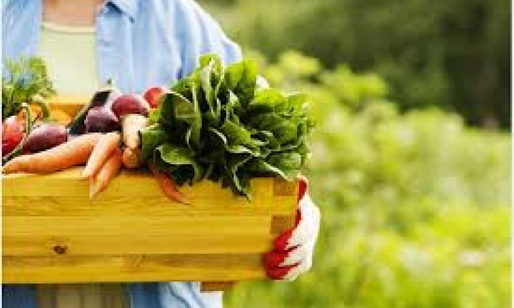 The Role of Organic Products in Enhancing Human Health benefits and importance.