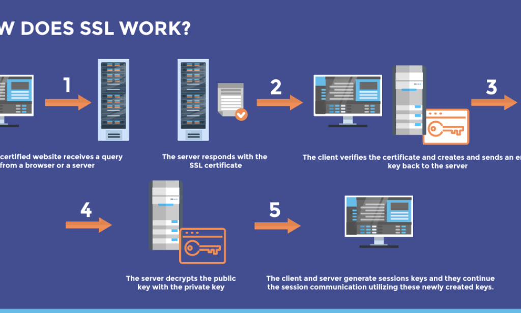 How to View and  Search   Clients in WHMCS: A Complete Guide