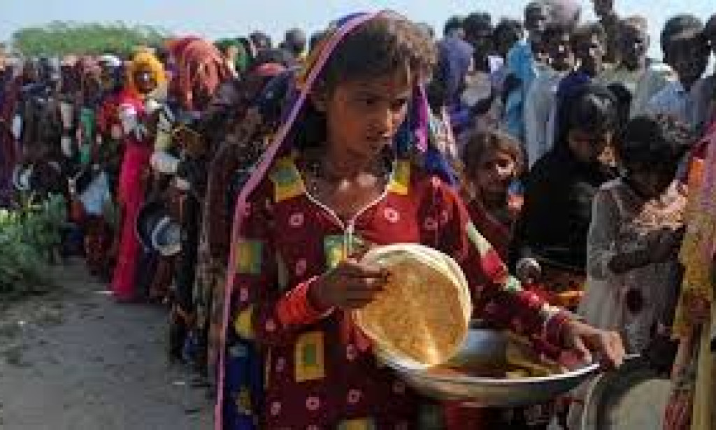 Preparing for the 2030 Food Crisis: Addressing Future Deficiencies