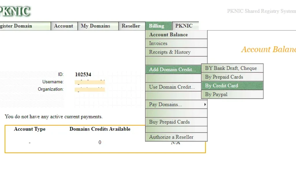 Registering .pk Domain and Creating Invoice Manually in PKNIC Panel