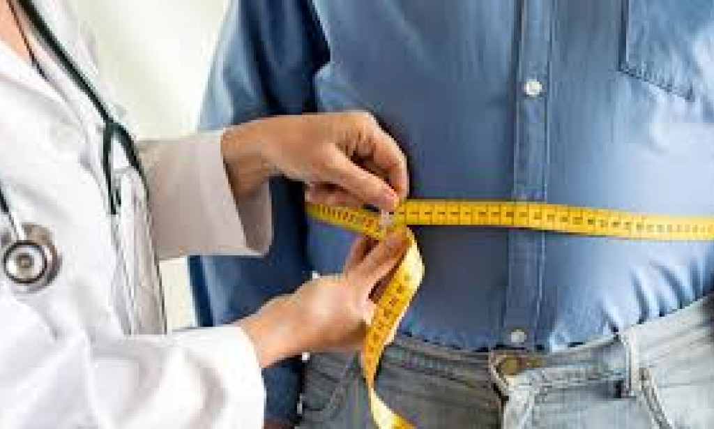 Navigating the Spectrum of Health: Exploring Obesity Management, Nutrient-Rich Diets, and Lifestyle Harmony