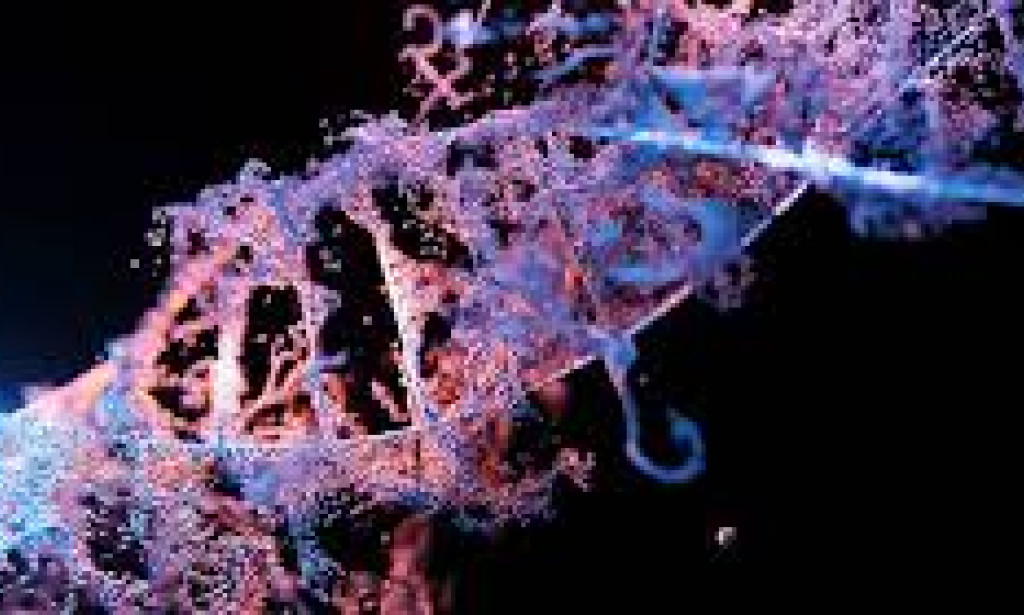 How CRISPR is Revolutionizing Genetic Engineering