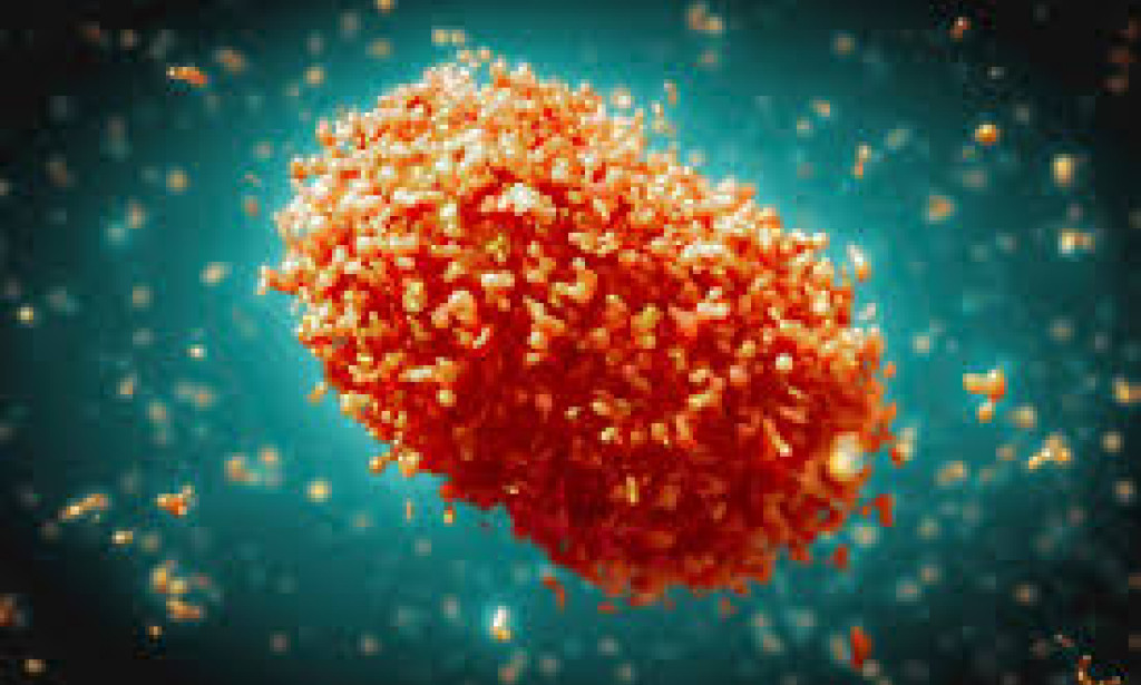 KP Reports First Locally Transmitted Mpox Case: Health Authorities on High Alert   Peshawar, Pakistan – Khyber Pakhtunkhwa (KP) has reported its first locally transmitted case of mpox (monke