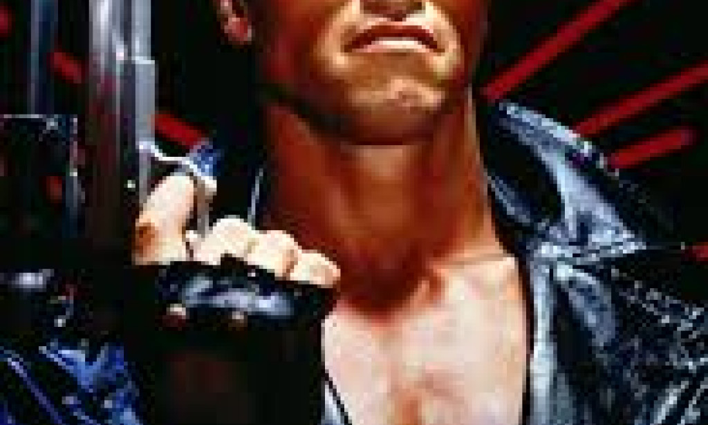 Terminator in Karachi: The Hunt for Sarah   The streets of Karachi were alive with neon signs, honking rickshaws, and the chatter of street vendors selling their wares. But amidst the usual