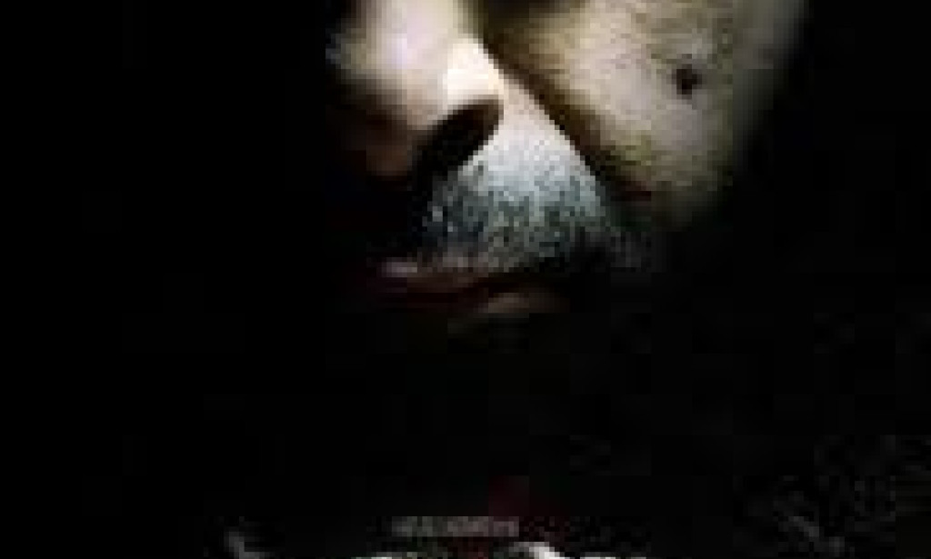 Pakistani Movie "Waar" – A Game Changer for Pakistani Cinema   Released in 2013, "Waar" is one of Pakistan’s most significant and high-budget action thrillers, marking a turning point for t