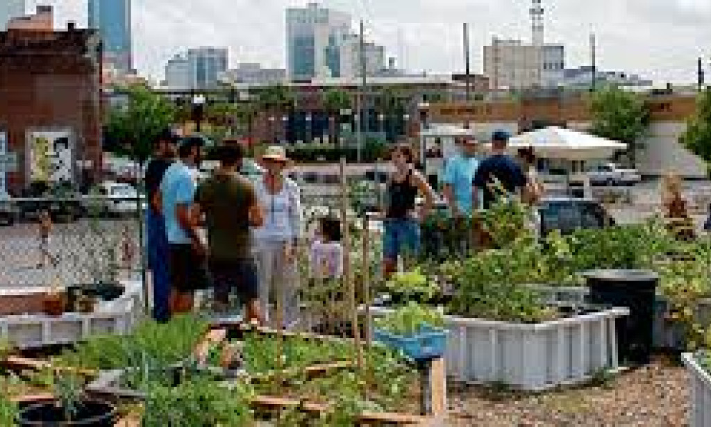 A New Idea for Pakistani People: Community-Based Urban Farming One innovative idea that could greatly benefit the people of Pakistan is the promotion of community-based urban farming.
