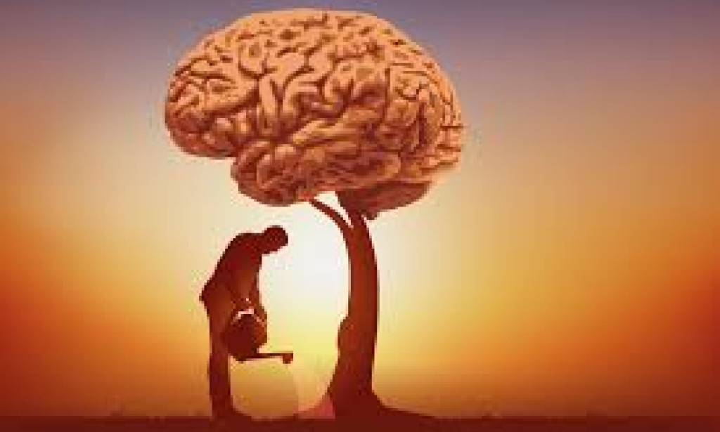 "Wisdom: The Guiding Light Beyond Knowledge and Intelligence"