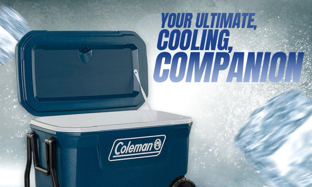 Hazari Impex and its Marketing Management: A Story of Business Excellence