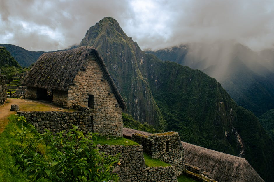 Daily Life and Social Structure