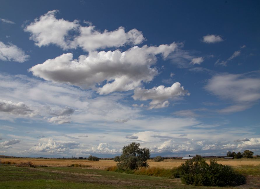 Expansive rural farmland with rolling clouds under a bright blue sky, capturing the serene beauty of countryside.