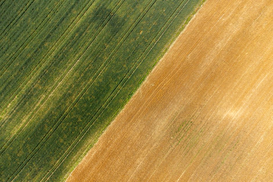 Aerial perspective of green and brown crop fields showcasing agricultural patterns.