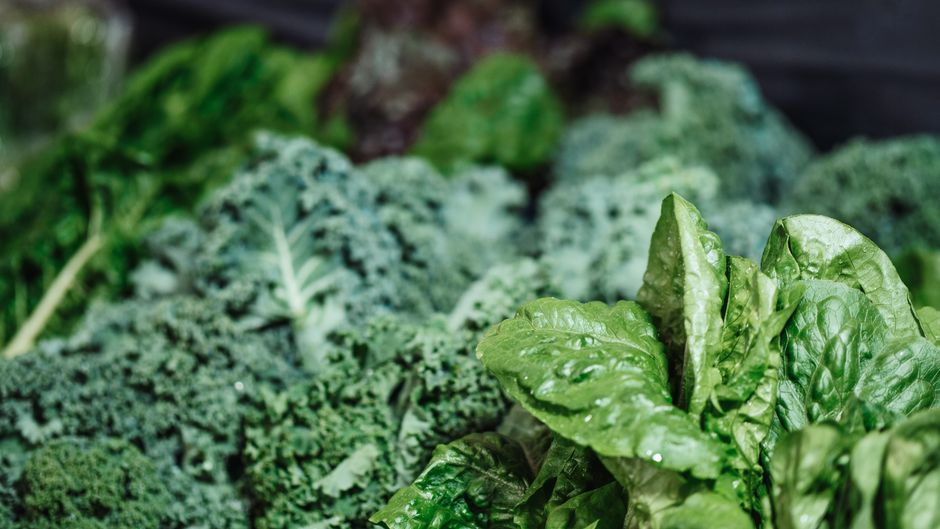 A vibrant mix of fresh kale, spinach, and textured greens in a close-up shot.