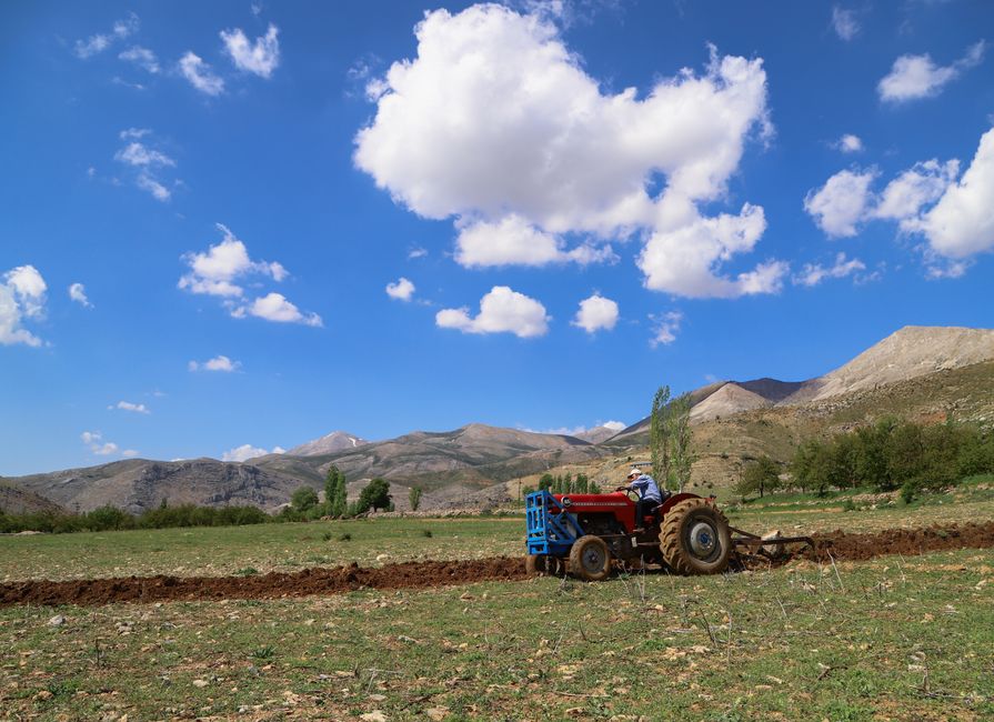 A red tractor ploughing a field under a blue sky with scattered clouds.