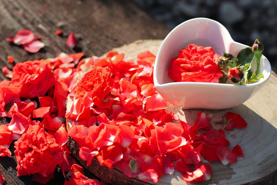 Heart-shaped white bowl with vibrant red rose petals on a rustic wooden surface, perfect for romantic themes.
