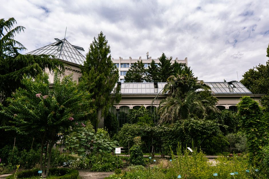 A vibrant botanical garden in front of a greenhouse, set against a cloudy sky.