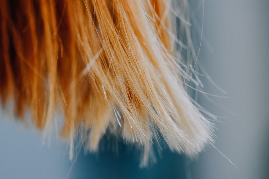 A detailed close-up of blonde hair strands with a soft and delicate focus, capturing the texture.