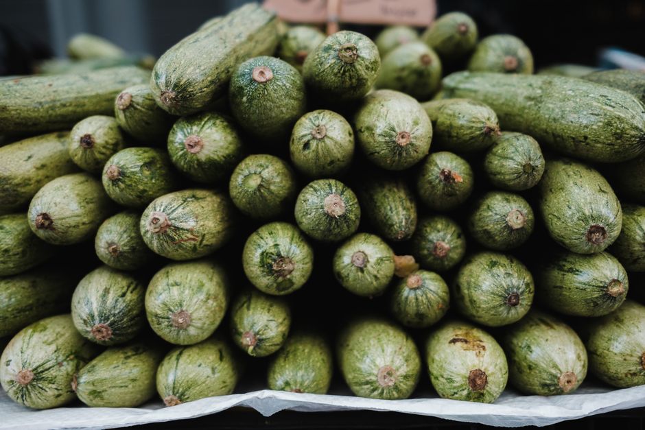 The top 14 vegetables to grow in august Pakistan 2023