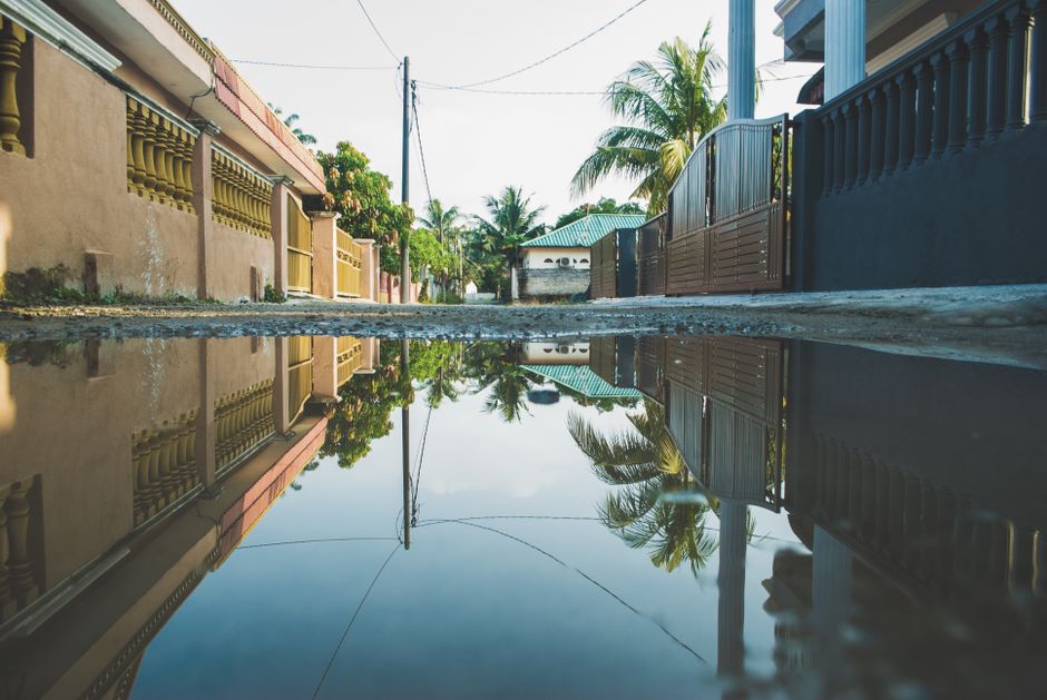 A residential street with palm trees reflected in a large puddle after rain.