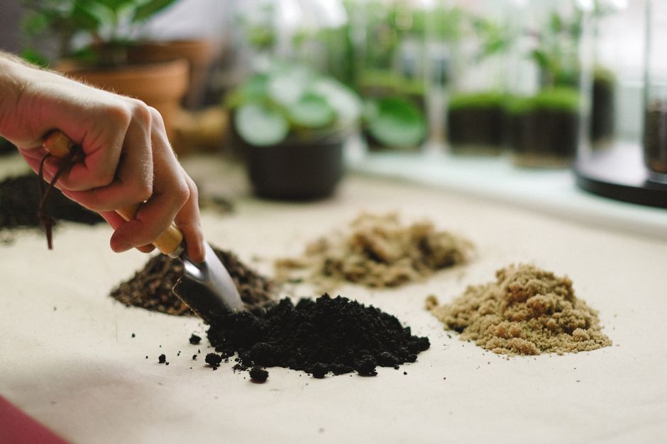 how to start vegetable gardening at home